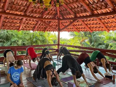 Vinyasa practice in the Treehouse Yoga Studio pavilion